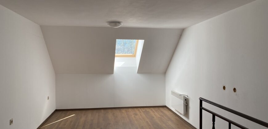 Family apartment duplex for sale in Bansko