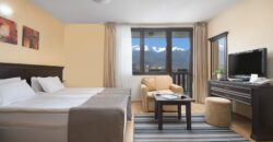 Bansko complex 4* hotel and apartments for sale