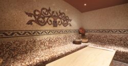 Bansko complex 4* hotel and apartments for sale